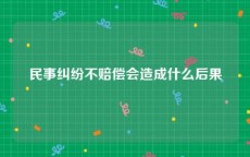 民事纠纷不赔偿会造成什么后果