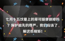 七月十五坟墓上的草可随便割掉吗？保护祖先的尊严，我们应该了解这些规矩！