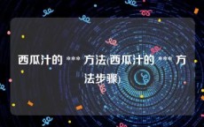 西瓜汁的 *** 方法(西瓜汁的 *** 方法步骤)