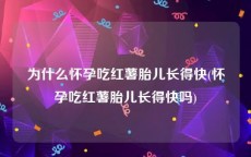 为什么怀孕吃红薯胎儿长得快(怀孕吃红薯胎儿长得快吗)