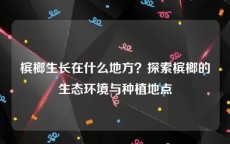 槟榔生长在什么地方？探索槟榔的生态环境与种植地点