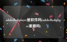 adobeflashplayer是软件吗(adobeflashplayer重要吗)