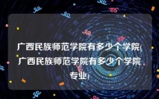 广西民族师范学院有多少个学院(广西民族师范学院有多少个学院专业)