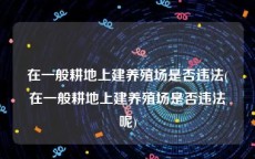 在一般耕地上建养殖场是否违法(在一般耕地上建养殖场是否违法呢)