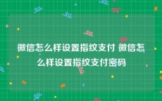 微信怎么样设置指纹支付 微信怎么样设置指纹支付密码