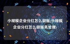 小规模企业分红怎么做账(小规模企业分红怎么做账务处理)