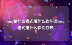 bmp是什么格式用什么软件读(bmp格式用什么软件打开)