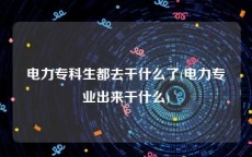 电力专科生都去干什么了(电力专业出来干什么)