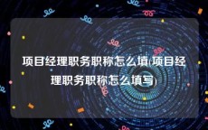 项目经理职务职称怎么填(项目经理职务职称怎么填写)