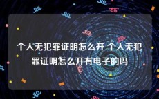 个人无犯罪证明怎么开 个人无犯罪证明怎么开有电子的吗