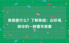 鱼翅是什么？了解鱼翅：山珍海味中的一种奢华美食