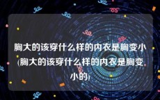 胸大的该穿什么样的内衣是胸变小(胸大的该穿什么样的内衣是胸变小的)