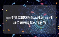 oppo手机位置权限怎么开启 oppo手机位置权限怎么开启的