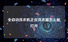 全自动洗衣机正在洗衣服怎么能打开