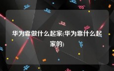 华为靠做什么起家(华为靠什么起家的)