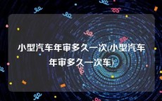 小型汽车年审多久一次(小型汽车年审多久一次车)