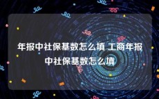 年报中社保基数怎么填 工商年报中社保基数怎么填