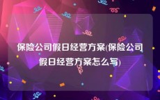 保险公司假日经营方案(保险公司假日经营方案怎么写)