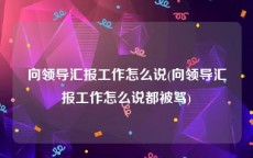 向领导汇报工作怎么说(向领导汇报工作怎么说都被骂)