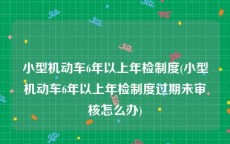 小型机动车6年以上年检制度(小型机动车6年以上年检制度过期未审核怎么办)