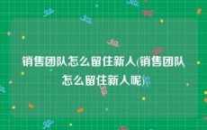 销售团队怎么留住新人(销售团队怎么留住新人呢)