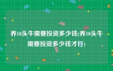 养10头牛需要投资多少钱(养10头牛需要投资多少钱才行)