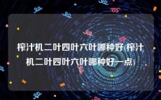 榨汁机二叶四叶六叶哪种好(榨汁机二叶四叶六叶哪种好一点)