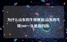 为什么山东的牛犊便宜(山东肉牛犊2000一头是真的吗)