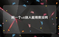 同一个wifi别人能用我没网