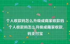 个人收款码怎么升级成商家收款码 个人收款码怎么升级成商家收款码支付宝