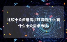 比较小众但是需求旺盛的行业(有什么小众需求市场)