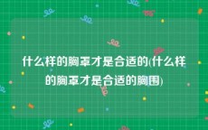 什么样的胸罩才是合适的(什么样的胸罩才是合适的胸围)