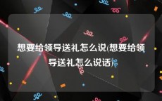 想要给领导送礼怎么说(想要给领导送礼怎么说话)