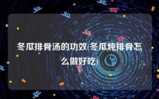 冬瓜排骨汤的功效(冬瓜炖排骨怎么做好吃)