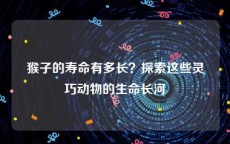 猴子的寿命有多长？探索这些灵巧动物的生命长河