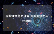 保险业绩怎么计算(保险业绩怎么计算的)