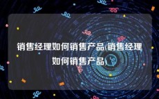 销售经理如何销售产品(销售经理如何销售产品)