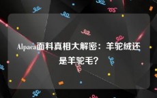 Alpaca面料真相大解密：羊驼绒还是羊驼毛？