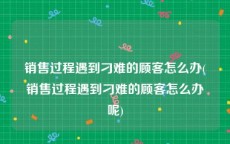 销售过程遇到刁难的顾客怎么办(销售过程遇到刁难的顾客怎么办呢)