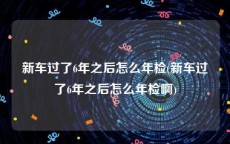 新车过了6年之后怎么年检(新车过了6年之后怎么年检啊)