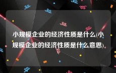 小规模企业的经济性质是什么(小规模企业的经济性质是什么意思)