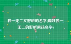 独一无二又好听的名字(周姓独一无二的好听男孩名字)