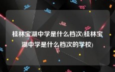 桂林宝湖中学是什么档次(桂林宝湖中学是什么档次的学校)