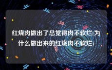 红烧肉做出了总觉得肉不软烂(为什么做出来的红烧肉不软烂)