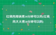 红烧肉用锅煮30分钟可以吗(红烧肉大火煮30分钟可以吗)