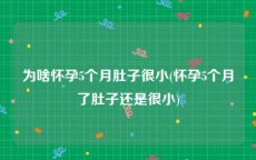 为啥怀孕5个月肚子很小(怀孕5个月了肚子还是很小)