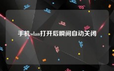 手机wlan打开后瞬间自动关闭