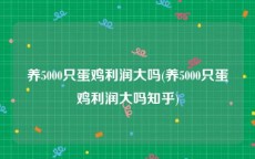 养5000只蛋鸡利润大吗(养5000只蛋鸡利润大吗知乎)