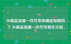 小商品货源一件代发你确定知晓吗？小商品货源一件代发有关介绍