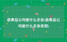 县食品公司是什么企业(县食品公司是什么企业类型)